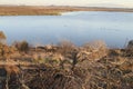 Palo Alto Baylands Royalty Free Stock Photo