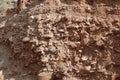 Palo duro canyon conglomerate rock formation