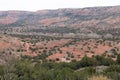 Palo duro canyon floor vista