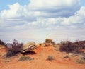 Palo Duro Canyon state park.Texas Royalty Free Stock Photo