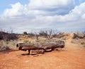 Palo Duro Canyon state park.Texas Royalty Free Stock Photo