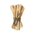Palo santo stick bunch. Watercolor illustration. Hand drawn wooden aromatic sticks. Palo santo spiritual holy Bulnesia