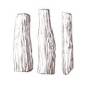 Palo santo tree, firewood set. Vector engraving