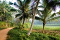 Palode agriculture field in Kerala Royalty Free Stock Photo
