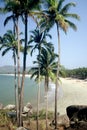 Palolem Beach,Goa,India Royalty Free Stock Photo