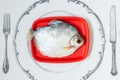 Palometa served on red plate Royalty Free Stock Photo