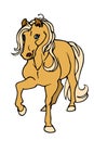 Palomino horse