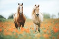 palomino horses in a poppy field