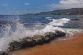 Palos Verdes Dog Beach Royalty Free Stock Photo