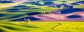 Palouse green wheat fields Royalty Free Stock Photo