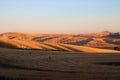 Palouse Valley, eastern Washington State Royalty Free Stock Photo