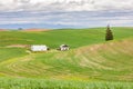 Abandoned farm house and barn in a wheat field in the Palouse hills Royalty Free Stock Photo