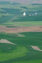 Palouse wheat fields