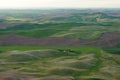 Palouse wheat fields