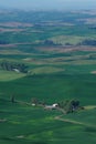 Palouse wheat fields