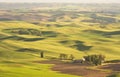 Palouse Wheat Fields Royalty Free Stock Photo