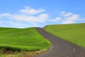 Palouse wheat fields