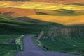 Palouse wheat fields and road