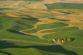 Palouse wheat fields at sunset