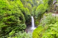 Palovit waterfall, kackars rize / Turkey Royalty Free Stock Photo