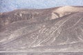 Palpa Lines and Geoglyphs, Peru