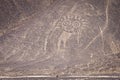 Palpa Lines and Geoglyphs, Peru