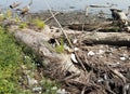 Palstic bottles and trash on shore of river