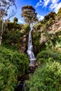 Beautiful waterfall in the middle of Andean vegetation