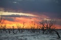 Pamamaroo lake , part of the Menindee lakes