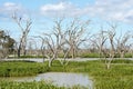 Pamamaroo lake , part of the Menindee lakes