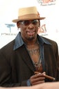 Dennis Rodman Royalty Free Stock Photo