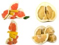 Pamelo big and juicy fruit on a white background, different views on one sheet. Citrus bright color without background. Royalty Free Stock Photo