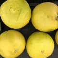 The Pamelo, Citrus maxima is the original citrus.