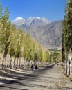 Pamir mountain Wakhan road and alley of poplar trees