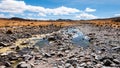 Pampa Galeras (I) - Peru Royalty Free Stock Photo