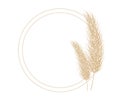 Pampas dry grass circle frame. Branch of pampas grass. Panicle, feather flower head. Vector