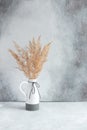 Pampas grass in ceramic vase against wall. Still life bouquet of dried flowers on stone background with copy space Royalty Free Stock Photo