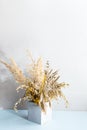 Pampas grass in a concrete geometric vase. A minimal still life with dry field spikelets on a light background. Royalty Free Stock Photo