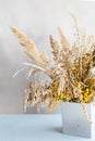 Pampas grass in a concrete geometric vase. A minimal still life with dry field spikelets on a light background. Royalty Free Stock Photo