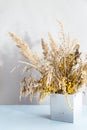 Pampas grass in a concrete geometric vase. A minimal still life with dry field spikelets on a light background. Royalty Free Stock Photo