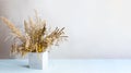 Pampas grass in a concrete geometric vase. A minimal still life with dry field spikelets on a light background. Royalty Free Stock Photo