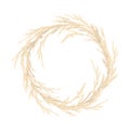 Pampas grass golden wreath. Vector illustration. panicle Cortaderia selloana South America. festive decoration template