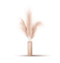 Pampas grass in vase. Dried floral ornament elements in boho style. Vector illustration isolated on white background