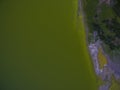 Pampas lagoon, aerial view