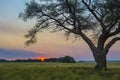 Pampas landscape, Argentina