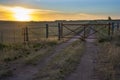 Pampas Landscape Royalty Free Stock Photo