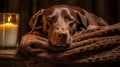 Pampered Pet Sleeping German Shorthaired Pointer Dog in Spa Treatment. Generative AI Royalty Free Stock Photo