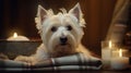 Pampered Pooch Relaxing Westie Dog in Spa Ambiance - Generative AI Royalty Free Stock Photo