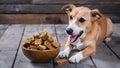 Pampered pup treats in bowl on wooden surface, canine delight