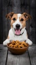 Pampered pup treats in bowl on wooden surface, canine delight